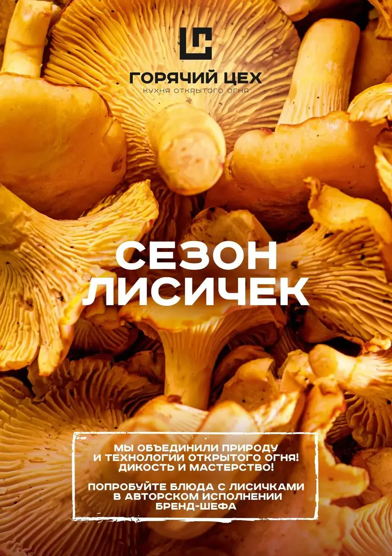 Сезон лисичек 1